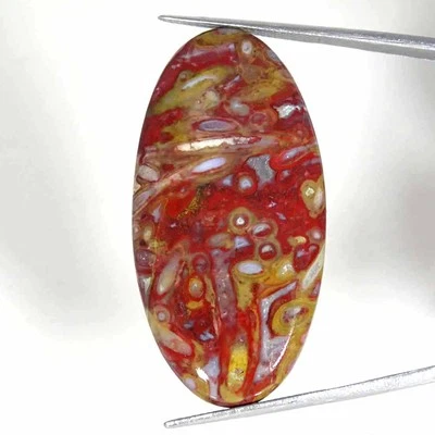 34.10Cts Natural Red Palm Root Agate Oval Cabochon Loose Gemstone 23x44x5mm - Image 1 of 4