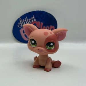 PIG #2672 - Authentic Littlest Pet Shop - Hasbro LPS - Picture 1 of 4