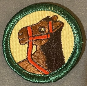Girl Scout Junior Badge Retired Horse Rider Embroidered Iron On Unused - Picture 1 of 2