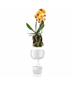 Eva Solo orchid pot planter flower pot self-watering irrigating glass bowl 15cm - Picture 1 of 9