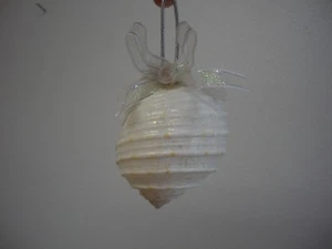 Cintas de cuentas de perlas blancas plateadas con concha de Nautilus remolino de lujo adorno XMas NUEVO - Imagen 1 de 5