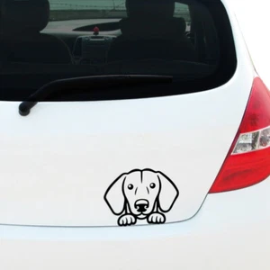 Peeking DACKEL Aufkleber Aufkleber Auto Fenster Stoßstange Haustier Hund Welpe Rettung Laptop - Bild 1 von 40