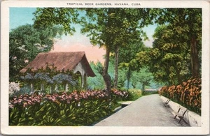 Vintage HAVANA, Cuba Postcard "TROPICAL BEER GARDEN" Kropp c1930s Unused - Picture 1 of 2