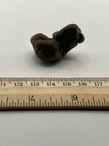 Coprolite Genuine Fossilized Feces Poop Dung  1.5” X 1” X 1” C58 - Picture 1 of 5