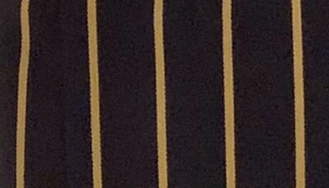 RAVENSWOOD SCHOOL bag SPORTS One Size Navy ( with emblem) UNIFORM Junior Senior - Picture 1 of 1