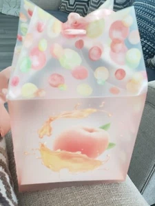 4 pcs in a pack of Pouch Style Plastic Decorative Box for different type of... - Picture 1 of 8