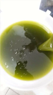 Olio EVO BIOLOGICO certificato di sicilia nuova molitura 2025-26 Litro 5 - Immagine 1 di 2