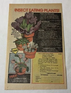 1977 INSECT EATING PLANTS ad page ~Venus Fly Trap,Pitcher Plant,Butterwort... - Picture 1 of 1