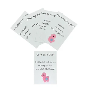 Duck Gift Pocket Hug Get Well Inspirational Love Good Luck You Got this Favour - Picture 1 of 1