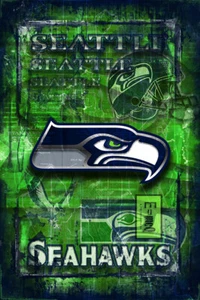 Seattle Seahawks 16x20in Poster, Seattle Seahawks Free Shipping US - Picture 1 of 6