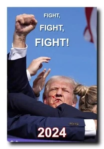 TRUMP AMERICAN FIGHT FLAG RALLY SHOOTING GLOSSY POSTER PICTURE PHOTO PRINT 9928 - Picture 1 of 4