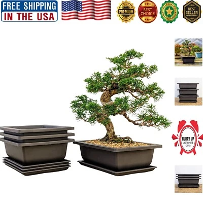 Ultra-Durable 8-Inch Bonsai & Plant Pots with Trays - Ideal for Indoor/Outdoor - Image 1 of 4