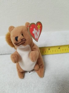 ty beanie baby Nuts squirrel 4" Collector Toy. No reserve. - Picture 1 of 6