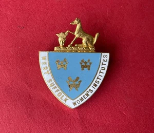 Vintage original West Suffolk WI Federation Womens Institute Enamel pin Badge  - Picture 1 of 7