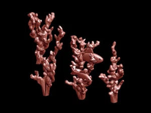 12x 28mm/ 1:56th scale Resin Coral Basing Bits - Picture 1 of 3