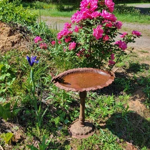 Vintage Cast Iron Hummingbird Bird Bath Birdbath Floral 18" x 15" Aprox - Picture 1 of 23