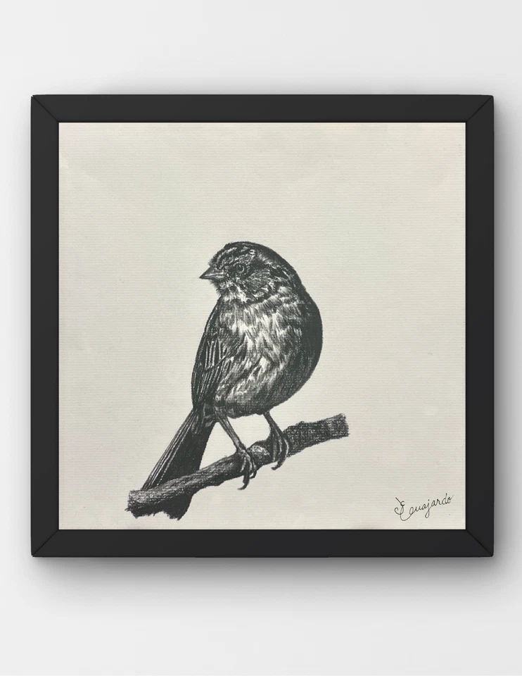 Arte firmado en lienzo GUAJARDO boceto original Bird Study-3 10X10 Foto 1 de 4