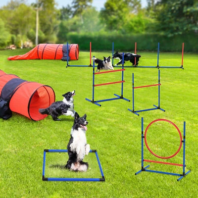 Beuloke Dog Agility Training Equipment Set Outdoor Obstacle Courses Starter Kit - Image 1 of 4