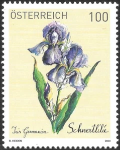 austria 2023 autriche Flowers German Bearded Iris Iris germanica fleur flora 1v - Picture 1 of 1