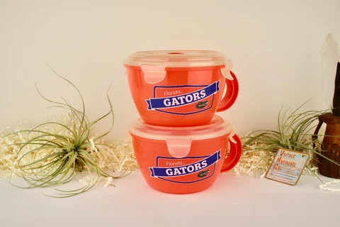 Florida GATORS Big Soup Mugs Plastic with lid vent 31.5oz set of 2 Cover
