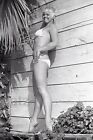 1960er Jahre negativ-sexy Pinup Mädchen Ann Berry im Bikini-Käsekuchen t447319