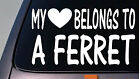 My heart belongs to a Ferret sticker decal *D940*