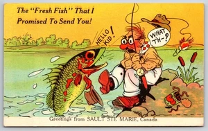 Fishing Comic Greetings Sault Ste Marie Ontario Canada Linen Postcard L21 - Picture 1 of 2