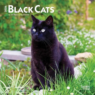 BROWNTROUT PUBLISHERS Black Cats Mini Calendar 2026 - Animal - Month To View