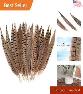 Feathers 20pc Natural Pheasant Tails 16-18inch Decoration for Crafts Weddings - Picture 1 of 11