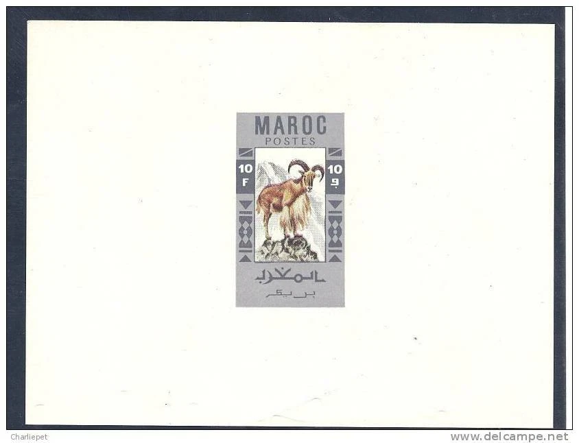 Marruecos 10 Fr. Hoja a prueba de color Goat in a Trial en borde gris Foto 1 de 1