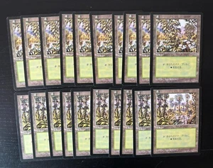 MTG 20X JAPANESE MIRAGE FOREST NM MAGIC THE GATHERING BASIC LAND COMMON - Picture 1 of 6