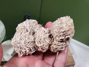 Desert Rose Selenite crystal cluster from mexico Sand Rose Rock Stone 152g 3.25" - Picture 1 of 6