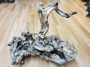 Root Carving Large Natural Wood Art (Natural Rock Embedded) - Picture 1 of 11