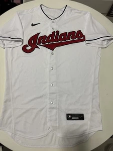 Nike Cleveland Indians Guardians blank Jersey sz 44 Large - Picture 1 of 10