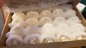 Lot of 25 Premium Rose Sugar Flowers White Medium Chef Alan Select Gumpaste - Picture 1 of 4