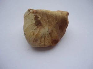 Unique Natural Gratitude Stone/Rock Law of Attraction Positive Give Thanks 33mm - Picture 1 of 1