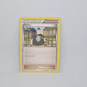 Carte Pokemon Française Dresseur Tierno 20/30 trainer kit pikachu Catcheur - Imagen 1 de 3