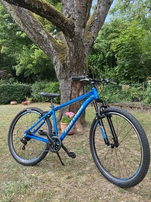 Mountainbike neuwertig Selbstabholer  - Bild 1 von 4