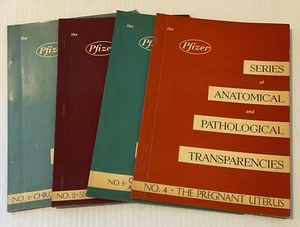 Pfizer Series Of Anatomical And Pathological Transparencies No. 1,2,3,4 - Picture 1 of 3