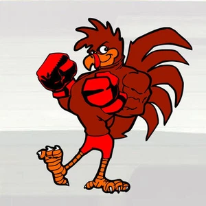 Rooster Cock Boxer 13.5" Fighting Sparring Decal Sticker Boxing Champ Champion - Picture 1 of 1