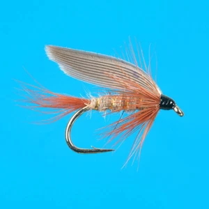 Gold geripptes Hasenohr (nass), 6 Stk. gr 10 - Bild 1 von 1