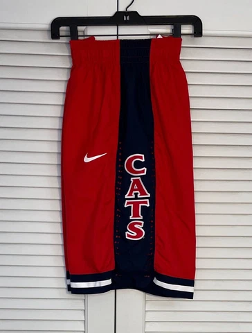 Nike UA Arizona Wildcats NCAA Dri-Fit Team Shorts Size Large TUCSON Cover
