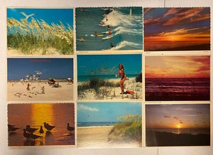 (NOS Lot Of 9)GULF BEACH, PADRE ISLAND, WILDLIFE  TEXAS VTG POSTCARD UNUSED SURF - Picture 1 of 10