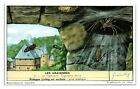 Giant House Spiders Les Araignees Liebig French Trade Card *Vt28c