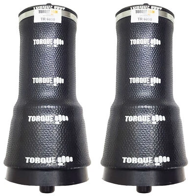 Pair Replaces Volvo 21165209, 20462624 Cab Air Spring Cabin Sleeper Bag Volvo - Image 1 of 4