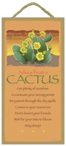Advice From a Cactus get plenty of sun stay sharp.. Garden Gift 10"x5" Sign 638 - Picture 1 of 3