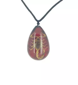 Real Scorpion Red and Black Resin Pendant - Picture 1 of 1