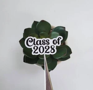 Class of 2028 Text Sticker | Glossy Vinyl - Picture 1 of 1