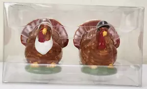 Turkey Ceramic Salt & Pepper Shaker Set Fall Thanksgiving Pilgrim NIB - Picture 1 of 8