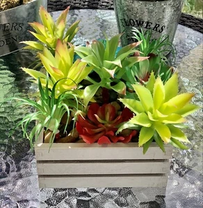 Flower Arrangement Artificial Succulent Flowers Garden and Home Decor CP00040 - Picture 1 of 12